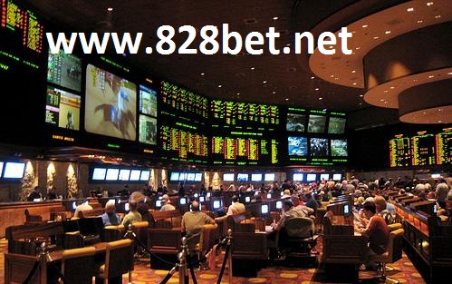 sports betting statistics 828bet.net